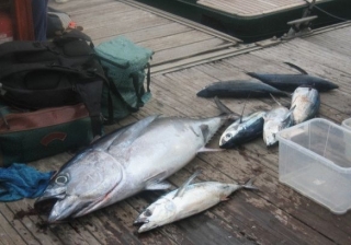el mejor dia de pesca